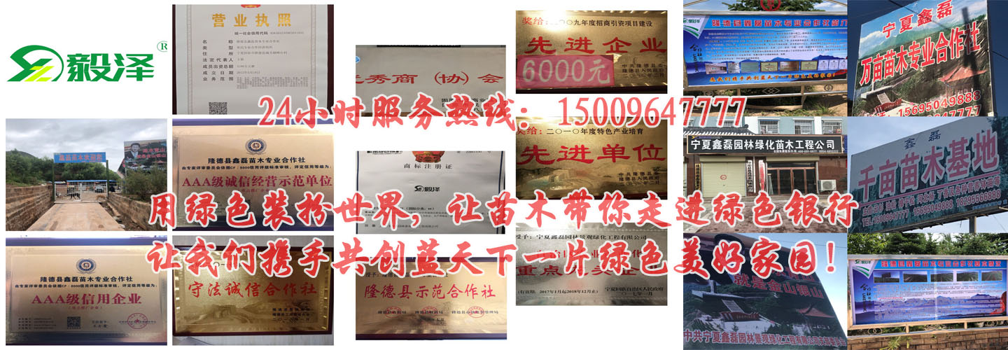 贝博软件下载